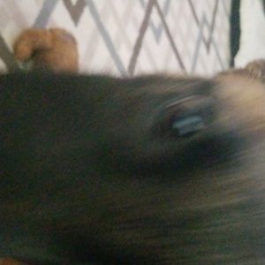 Meet your Posher, Josh